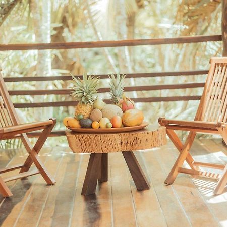 Hotel Buenavista Bacalar Jungle Experience Экстерьер фото