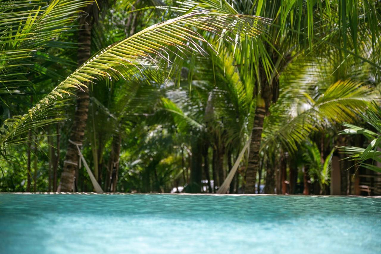 Hotel Buenavista Bacalar Jungle Experience Экстерьер фото