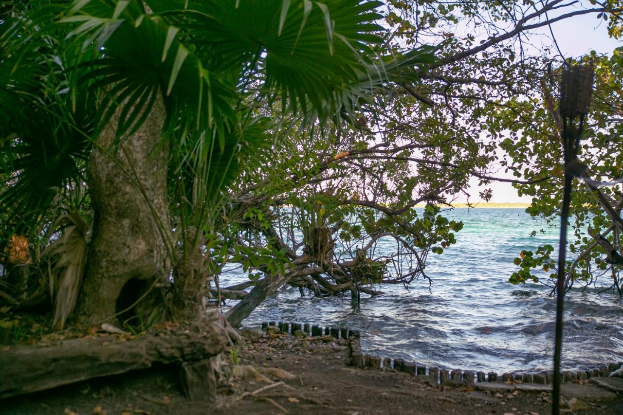 Hotel Buenavista Bacalar Jungle Experience Экстерьер фото