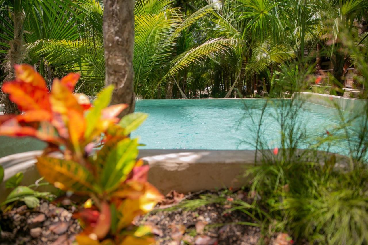 Hotel Buenavista Bacalar Jungle Experience Экстерьер фото