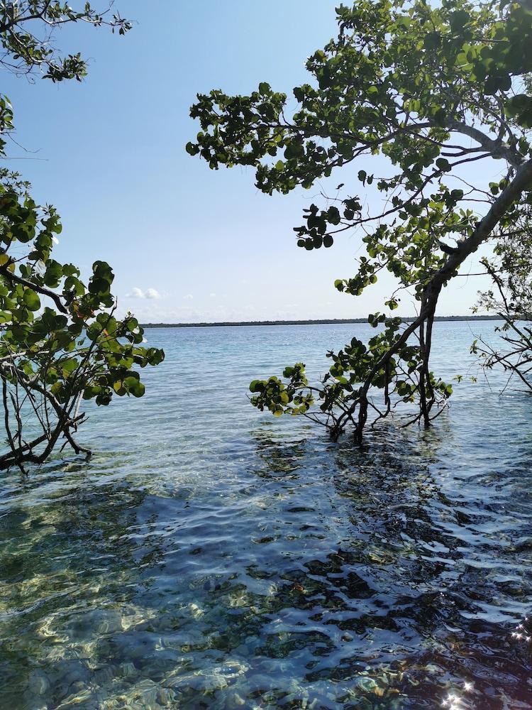 Hotel Buenavista Bacalar Jungle Experience Экстерьер фото