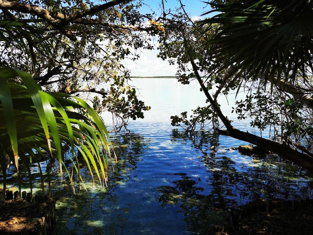 Hotel Buenavista Bacalar Jungle Experience Экстерьер фото